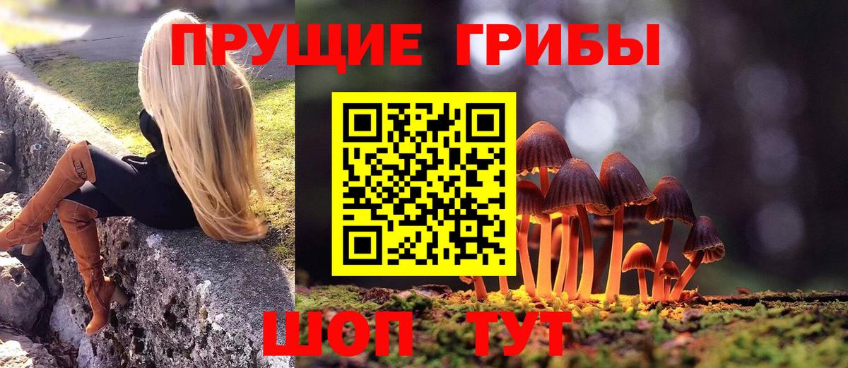 Галлюциногенные грибы Cubensis Кисловодск