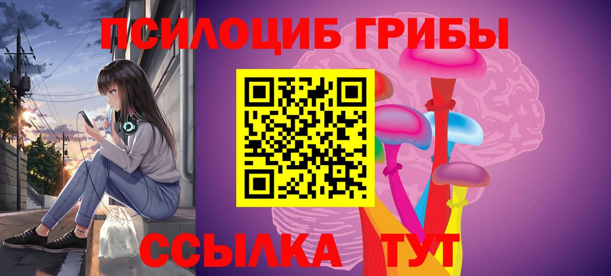 Кисловодск  Псилоцибиновые грибы Psilocybe  Вход с VPN  Псилоцибиновые грибы мухоморы 